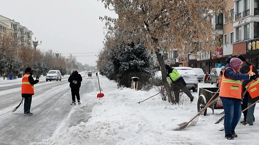 丰林县：以雪为令高效清雪 保障群众出行安全