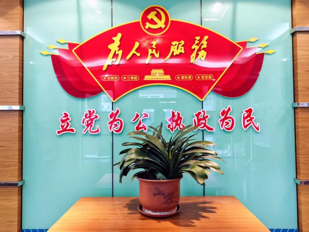一盆君子兰，一片为民心—新青镇“板凳会”里开出“信任花”