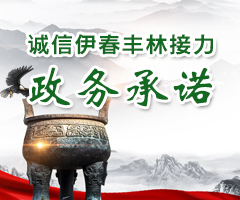 诚信伊春丰林接力 政务...